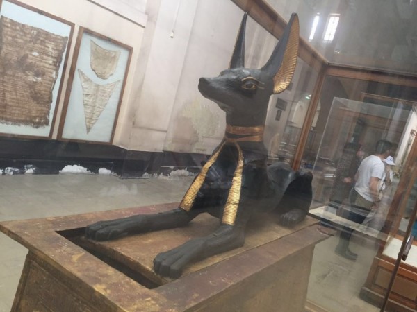 Best Egypt Explorer Tours