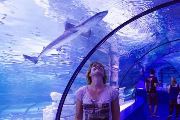 Antalya Aquarium