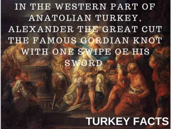 ALEXANDER THE GREAT GORDIAN KNOT