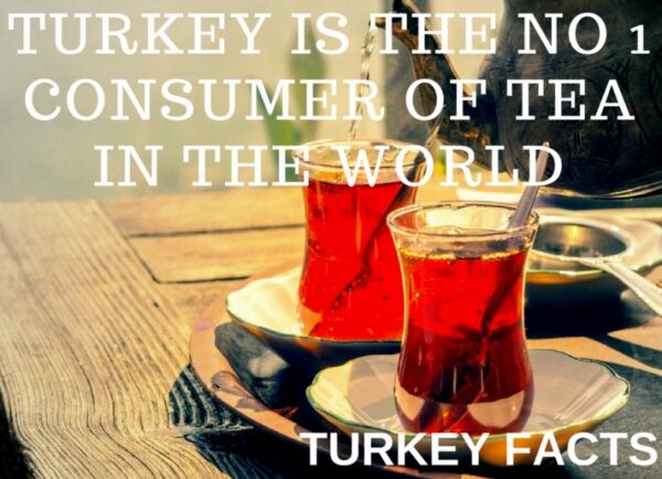 TURKEY IS THE NO 1 CONSUMER OF TEA IN THE WORLD